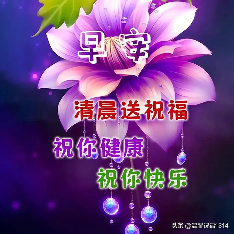 问候周一早上好_新周早安问候_新的一周早上好问候语