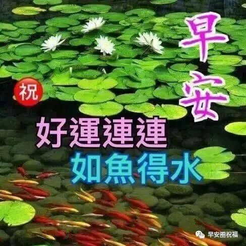 最新唯美早上好图片问候语简短片带字 经典早上好问候语简短