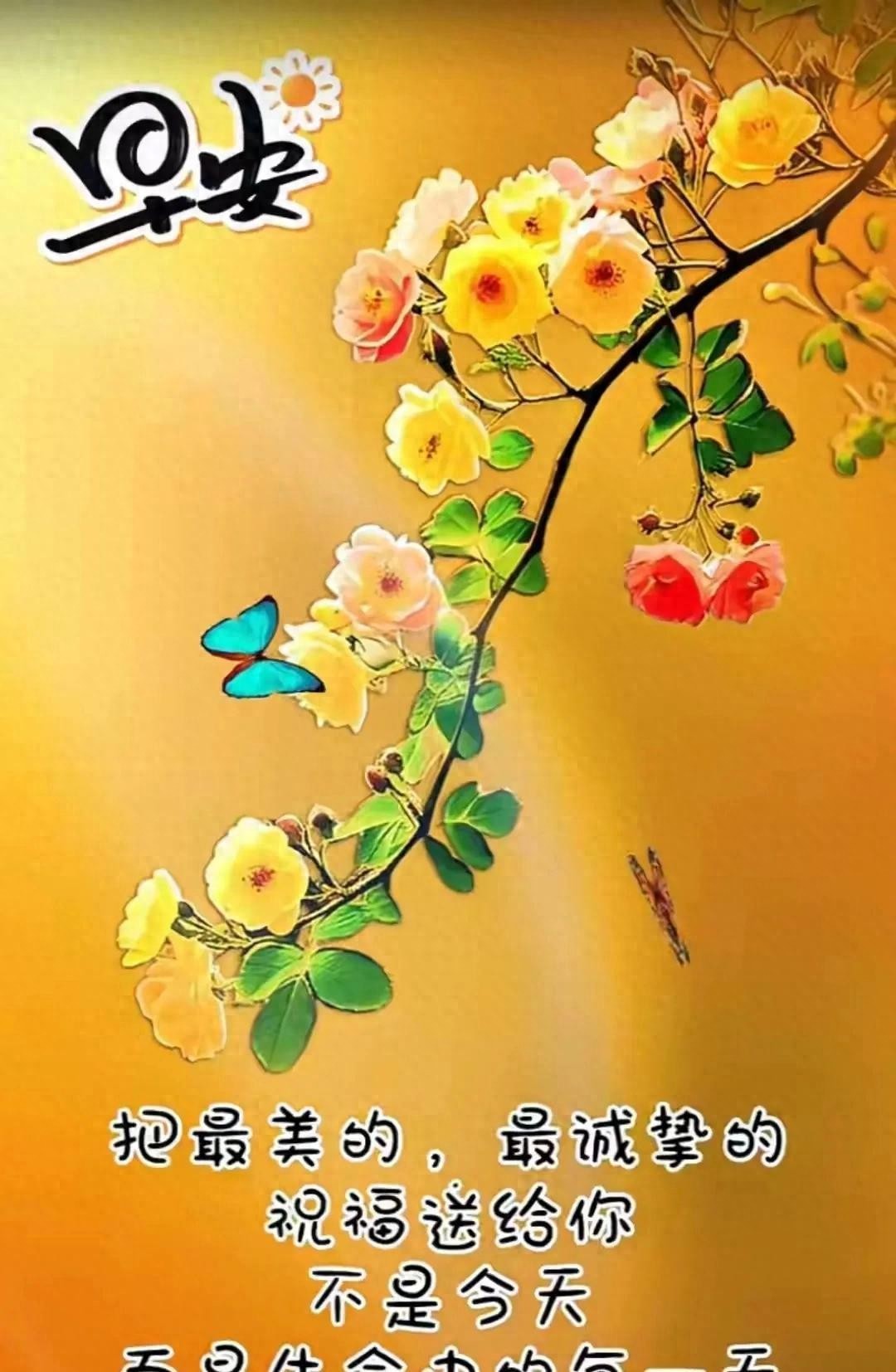 ²⁰²⁵₀₈.₁₈周一，早安：心若从容，处处是秋