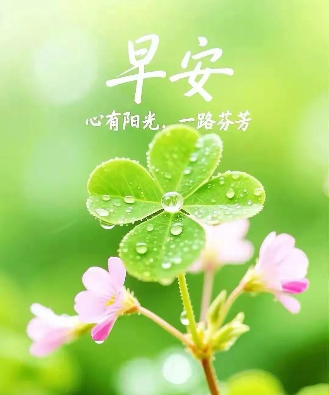 正能量早安文案隐藏式指令_星期一早安问候语短句_朋友圈早安心语隐藏式改写指令
