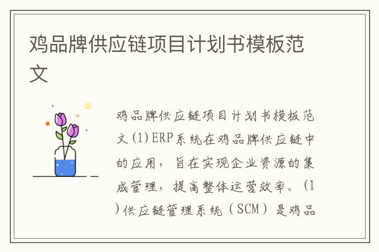 雞品牌供應鏈項目計劃書模板范文